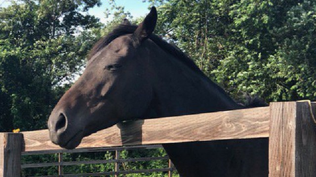 【今日のシュシュブリーズ】8月30日