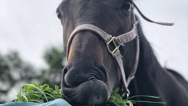 【今日のシュシュブリーズ】8月31日