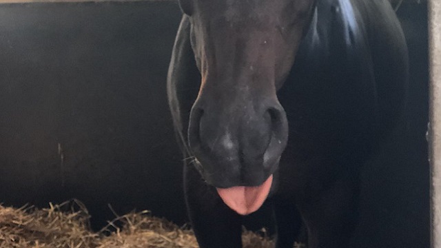 【今日のシュシュブリーズ】9月10日