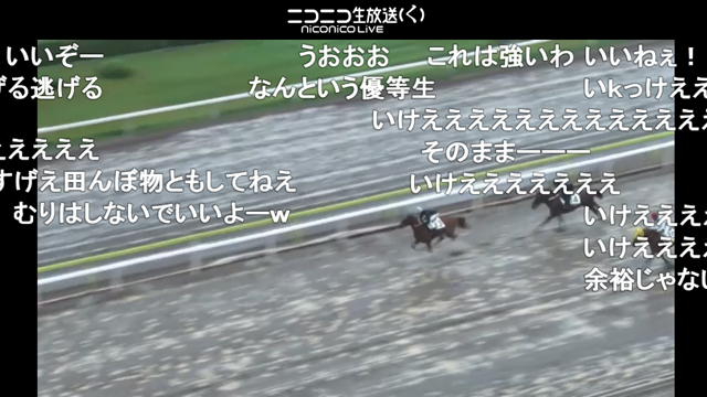 ファニーフラッシュ 能力試験に合格！