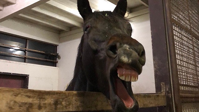 【今日のシュシュブリーズ】11月27日