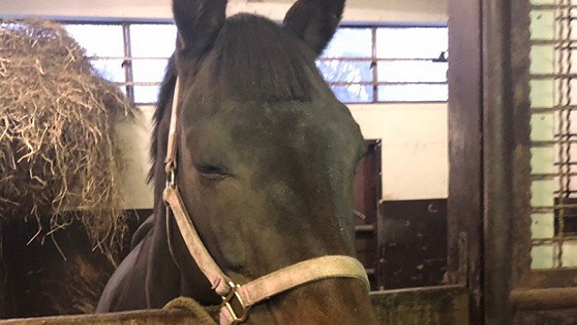 【今日のシュシュブリーズ】2月15日