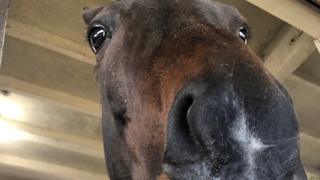 【今日のシュシュブリーズ】3月5日