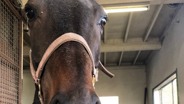 【今日のシュシュブリーズ】3月6日