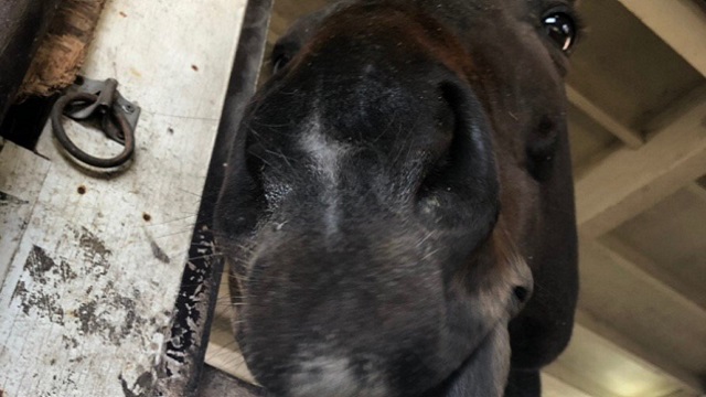 【今日のシュシュブリーズ】3月12日