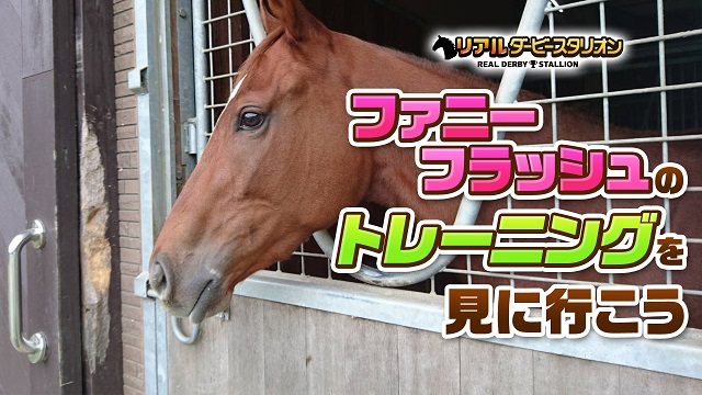 ファニーフラッシュのトレーニングを見に行こう2019