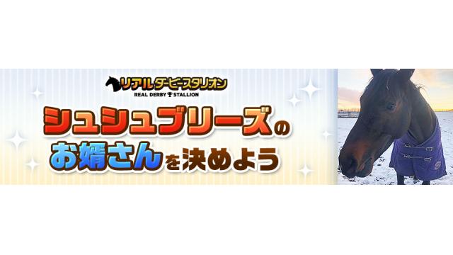 シュシュブリーズのお婿さんを決めよう2020候補募集について