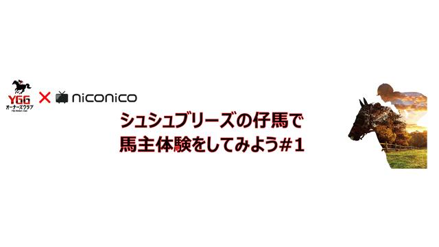 5/9（土）20：00～　シュシュブリーズの仔馬で馬主体験をしてみよう#1【YGG×niconico】