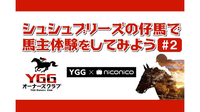 5/23（土）20：00～　シュシュブリーズの仔馬で馬主体験をしてみよう#2【YGG×niconico】