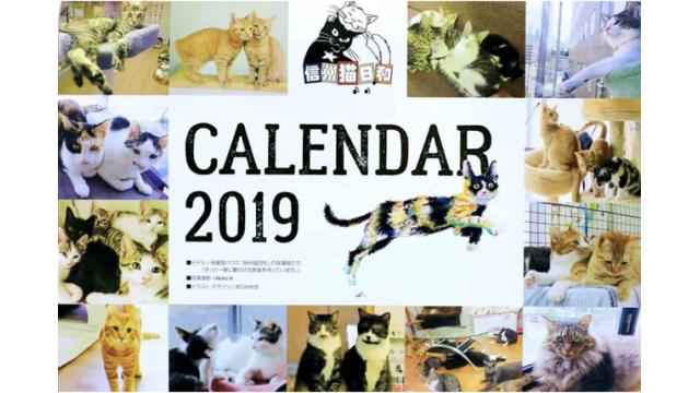 2019保護猫カレンダー