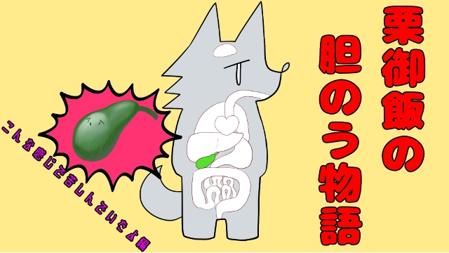 栗御飯の胆のう物語 ~こんな感じで苦しんでいたよ編~