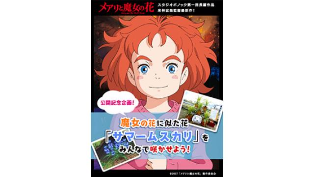 サマームスカリさんを育てよう