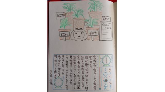 【絵日記】サマームスカリさんを育てよう（DAY1～DAY7）
