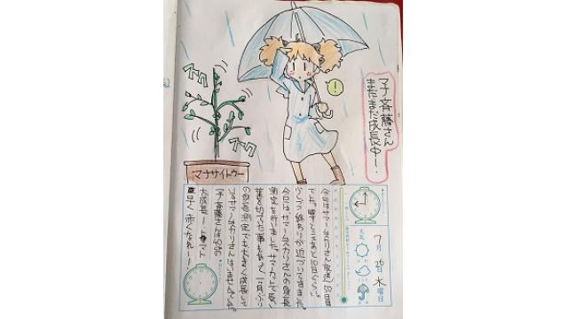 【絵日記】サマームスカリさんを育てよう（DAY50～DAY56）