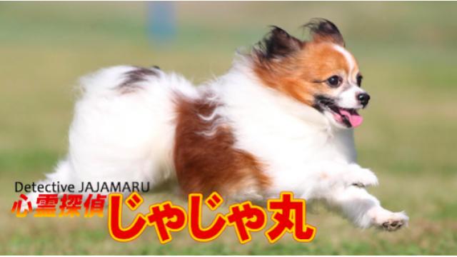 「心霊探偵じゃじゃ丸」始動！「境界カメラ」マスコット犬「じゃじゃ丸」が都内有数の心霊スポットを探検。