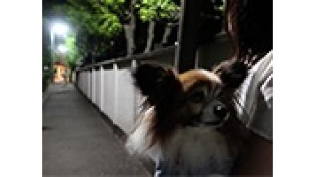 5月25日「心霊探偵じゃじゃ丸」デモ田中失踪、事件ルポ➀