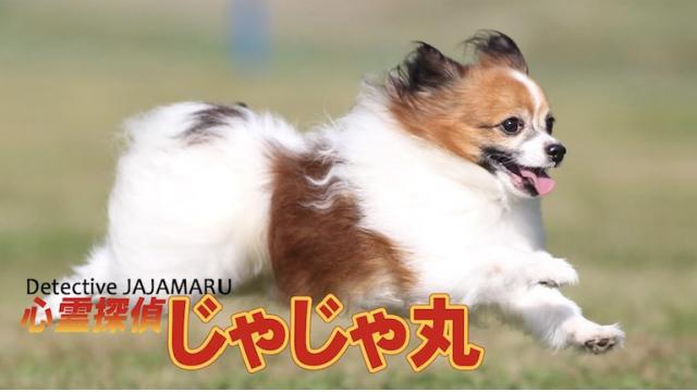 ７月27日（金）放送！【境界カメラ#49】「心霊探偵じゃじゃ丸～八王子城趾～」