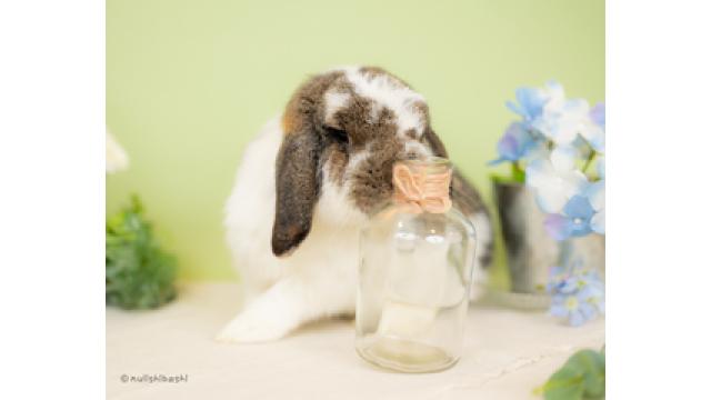 【訃報】（誰でもお読みいただけます）