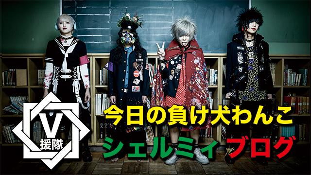 シェルミィ ブログ　第四回「今日の負け犬わんこ」