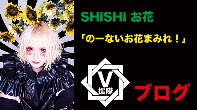 SHiSHi お花 ブログ　第一回「のーないお花まみれ！」