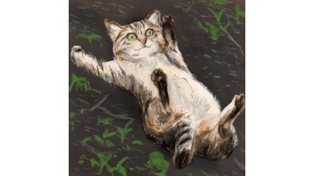 今週の扉絵、オススメピコ、オススメ記事が更新されました 2026/06/23