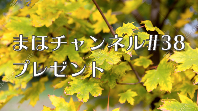 まほチャンネル#38 プレゼントのお知らせ