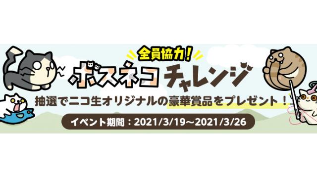 『全員協力！ボスネコチャレンジ』イベント報告