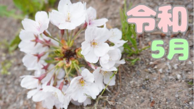 【全体公開】5月の予定(●`ω´●)