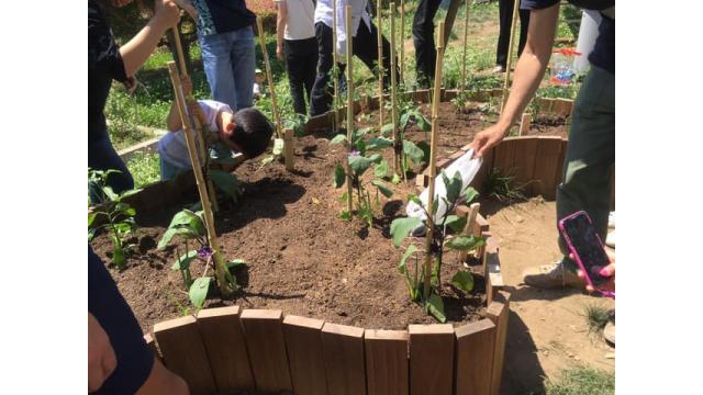 【地域コミュニティ】タワマン敷地内に畑？？　＠ドゥトゥール自治会主催イベント