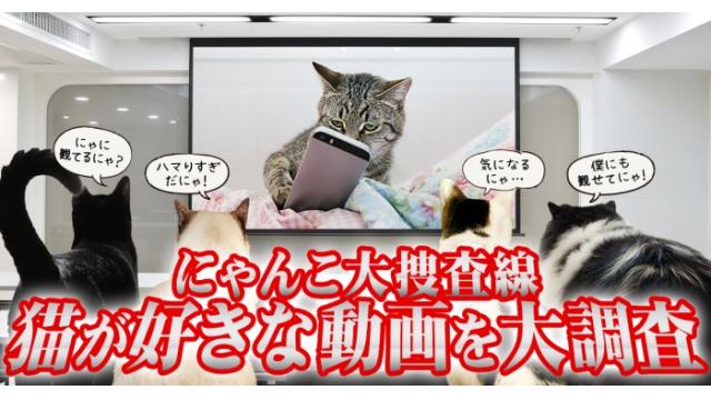 猫が好きな動画を調査します