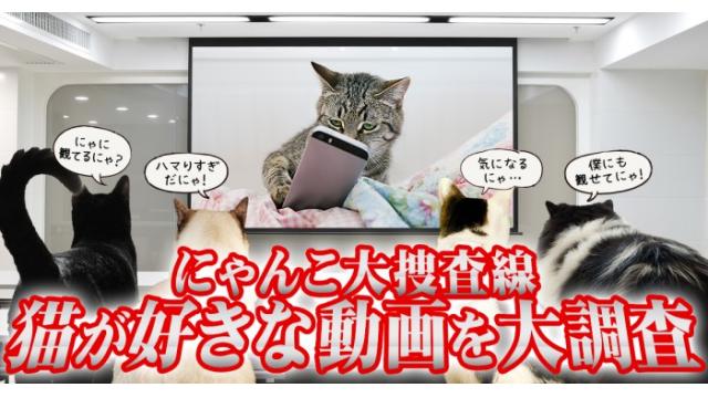 猫の日は猫に感謝せよ。猫が楽しめる動画まとめ