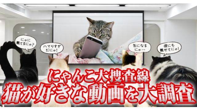意外な猫的「その他」ジャンル 猫の好きなジャンルその３