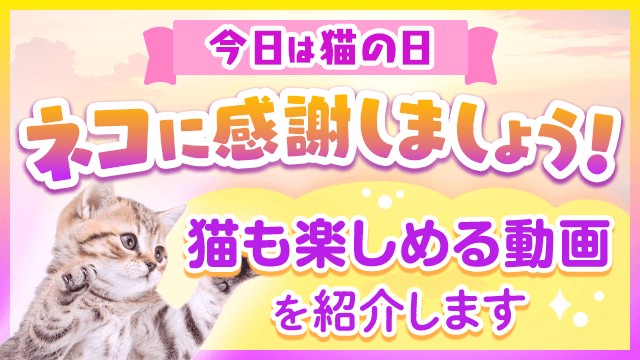 猫の日に、ご協力いただきありがとうございました。