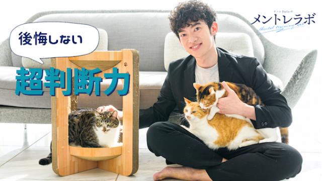 一問一答「あなたは、判断に迷ったらどうやって決めていますか？」【後悔しない判断力】
