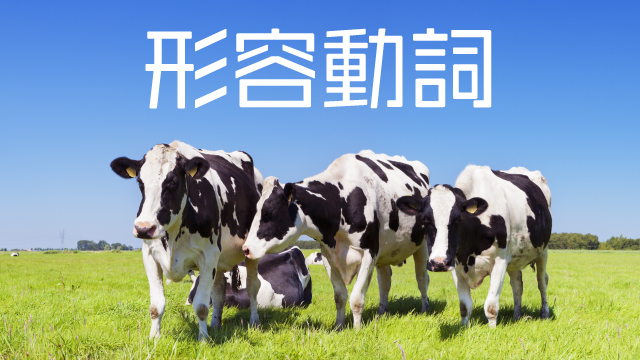 10月12日放送「割って最強」形容動詞チャットログ