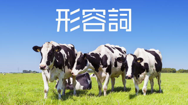 10月12日放送「割って最強」形容詞チャットログ