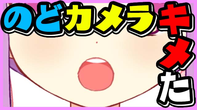 【限定】のどカメラ＊。【内臓注意】