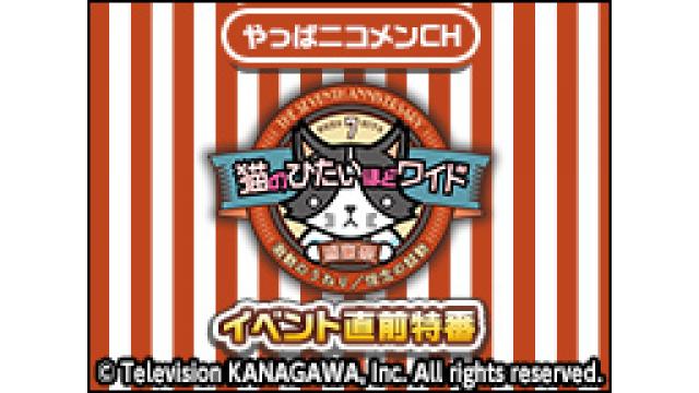 情報解禁【tvk猫ひたCH×やっぱニコメンCH】3/4土 7周年感謝祭イベントの公演直前特番が2/24金20時に決定！