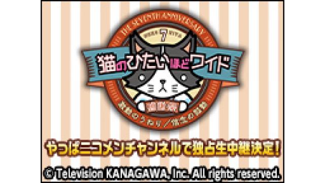 情報解禁　tvk【猫のひたいほどワイド】3/4(土)開催 番組7周年感謝祭をニコ生で独占生中継決定！