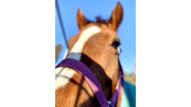 フォトブックのプレゼント企画！抽選番号のご案内です！