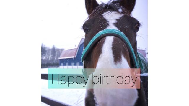 スティッフェリオ誕生日プレゼント企画、抽選番号発表！