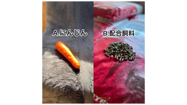 スティッフェリオ完食ダービー開催！(改訂版)