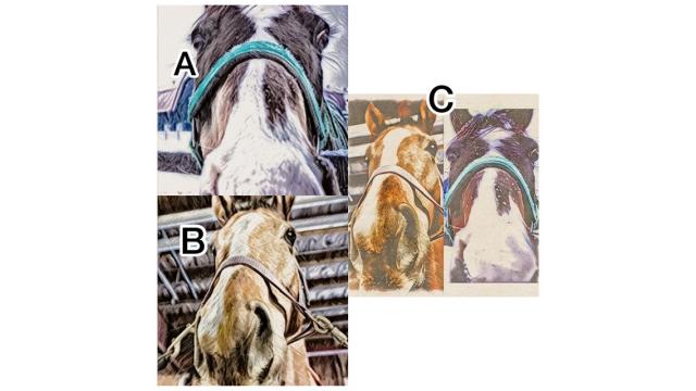 オリジナルスマホケースを販売いたします！