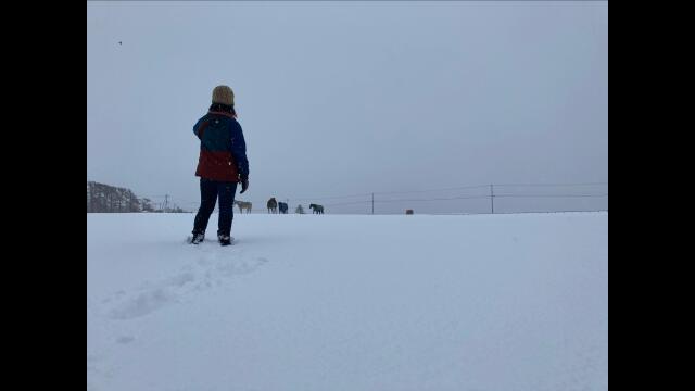 あれか