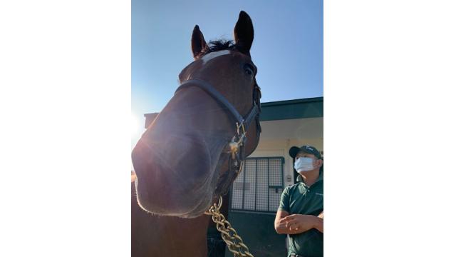 セリのチョイス