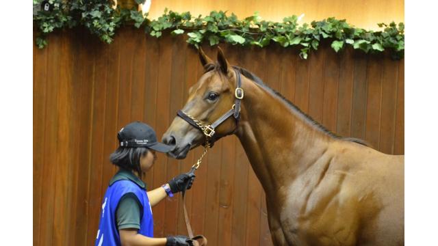 むきむきむちむち