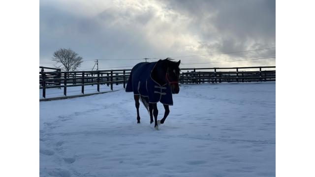 一触は百見の価値がある