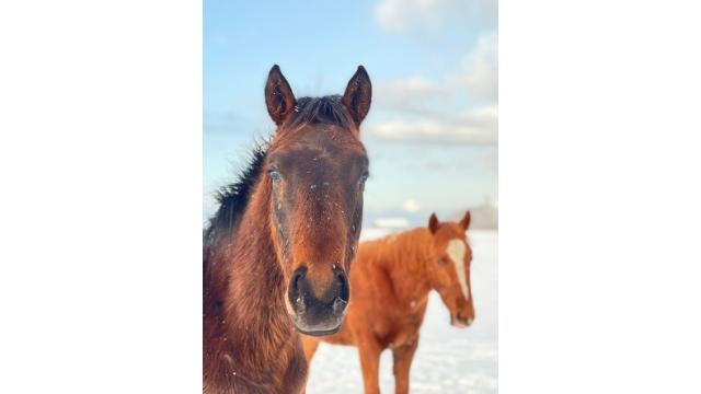 Mixi日記が発見されました　その2