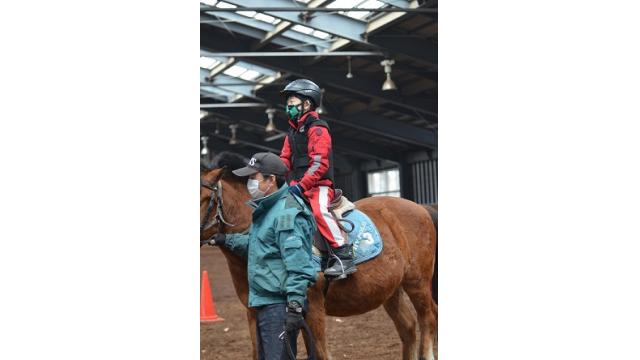 2021年デビュー新種牡馬診断　その3