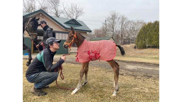 しゅっさんでーす※水をさす投稿なので見ないのが吉